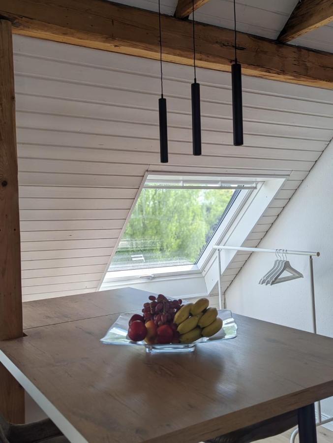 Helles Dachgeschoss-Appartement クレーフェルト エクステリア 写真